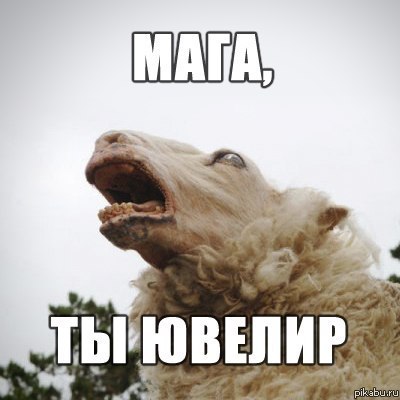 ��� ��������)))