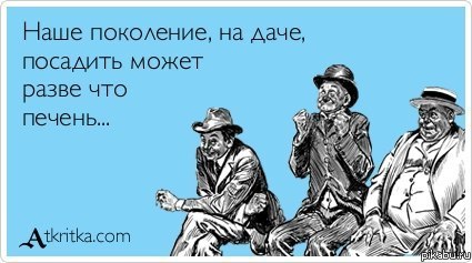 Наше поколение на даче...