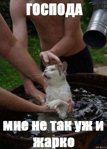 ���� �� ����