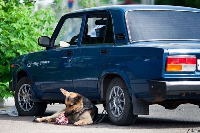 Сигнализация, не требующая электричества=) | Пикабу