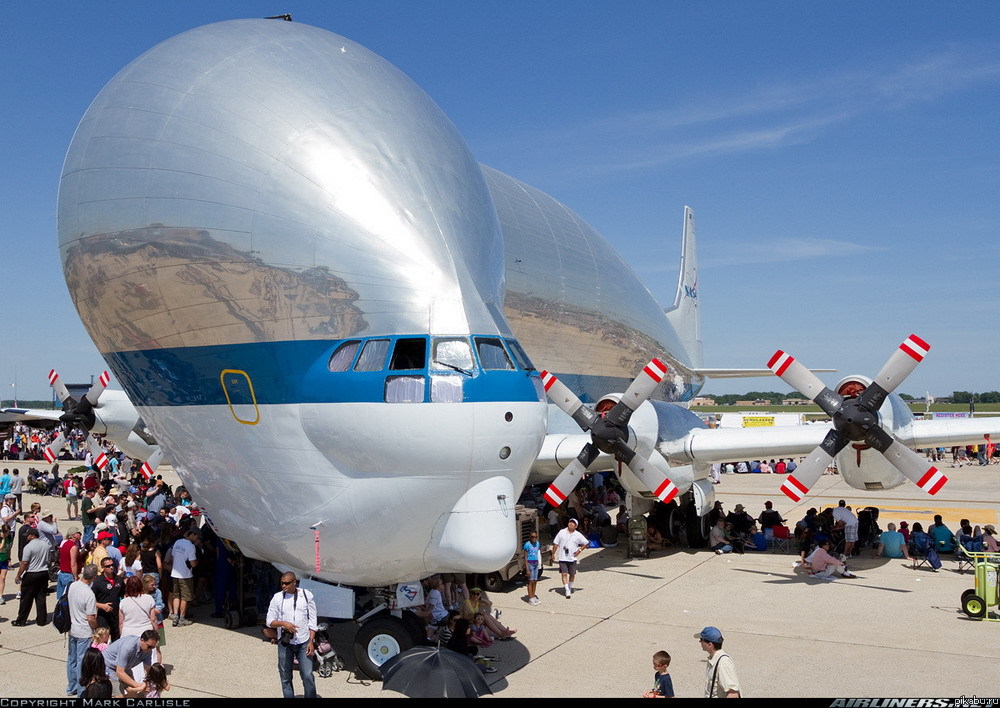  &quot;B-377 -  Guppy&quot;   ,   ,    .    =)   VINNEY  MuZHchinko!