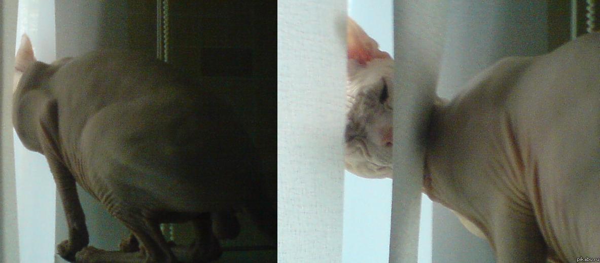 Феликс Эдмундович.