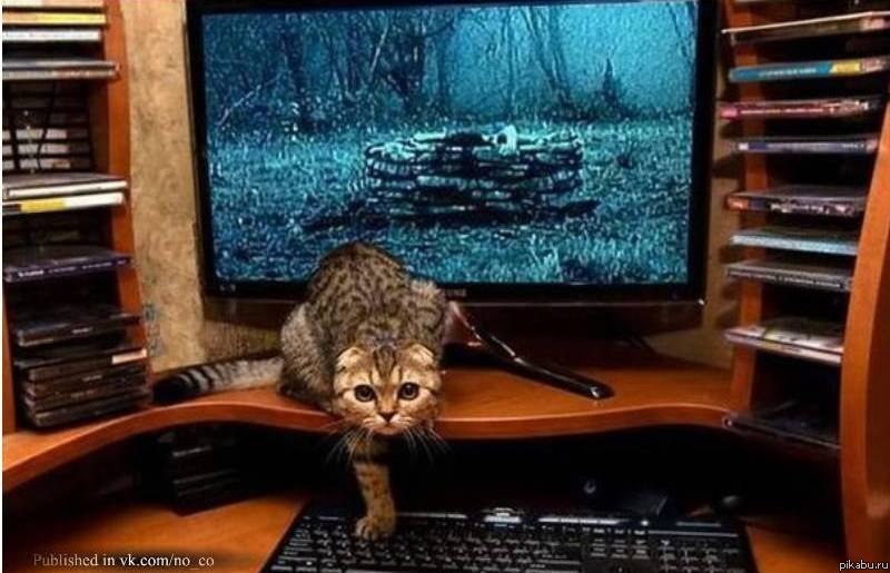 ����� "������", ����� ������