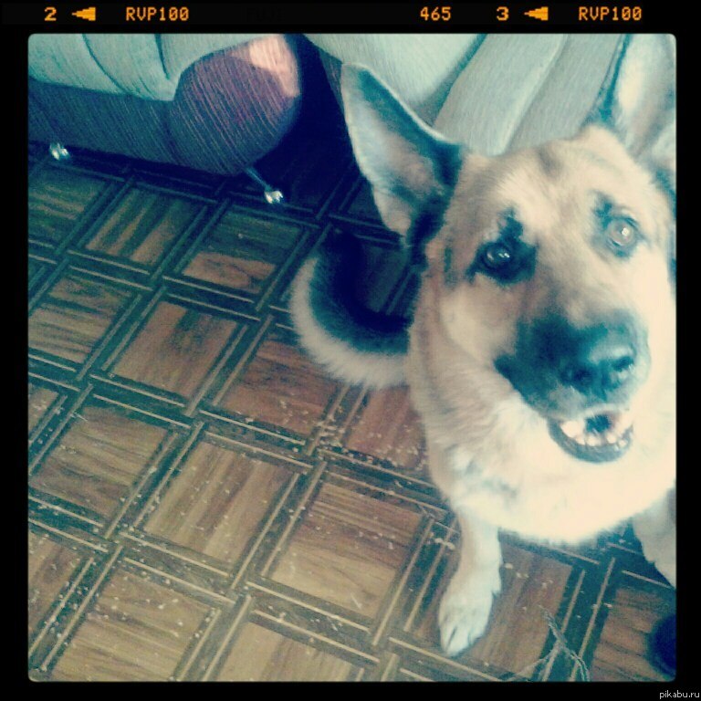 Уже были посты про любимые книги)