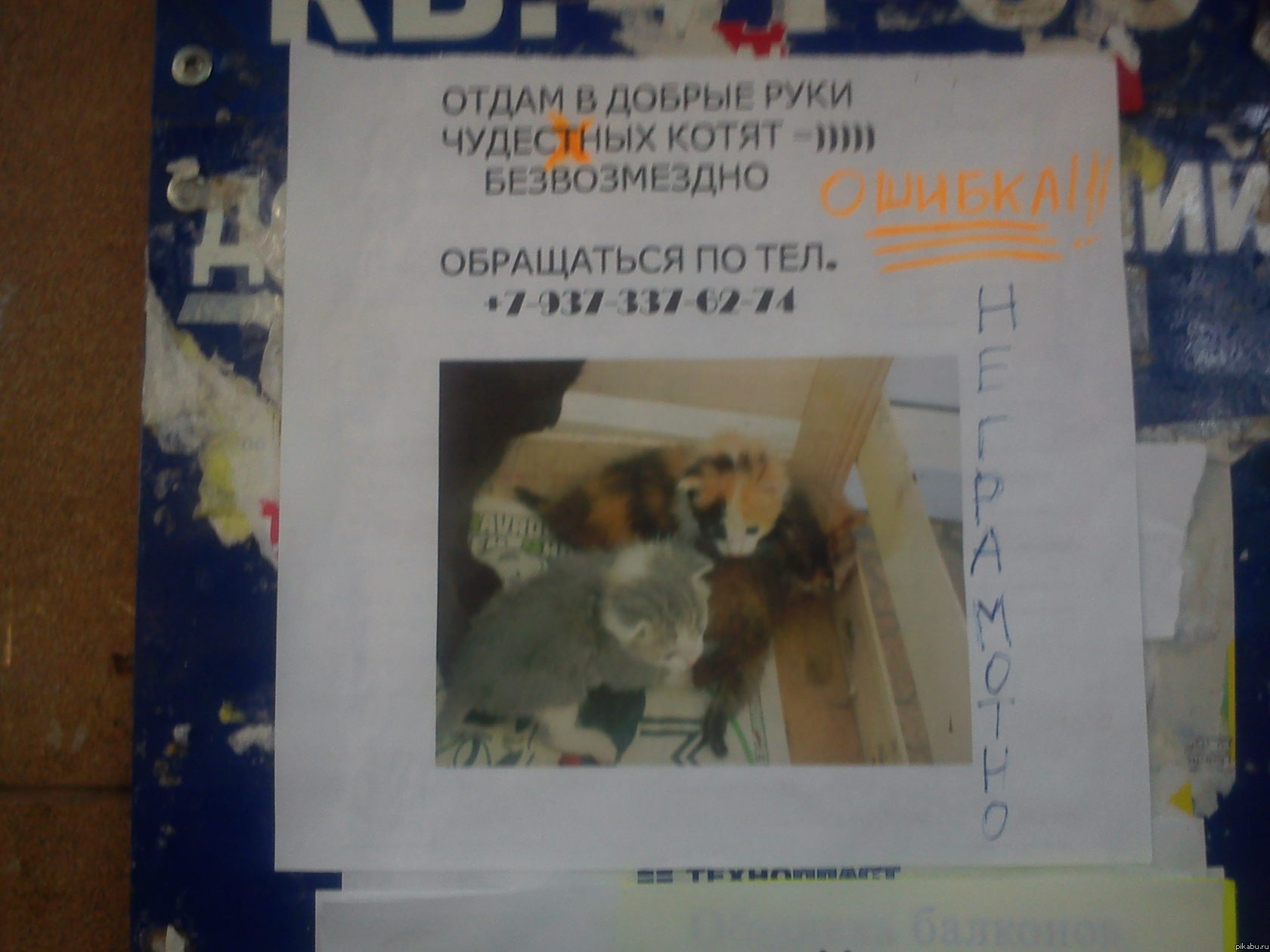 Вот это объявление появилось на доске объявлений возле моего подъезда пару дней назад. Исправления заметил только сегодня