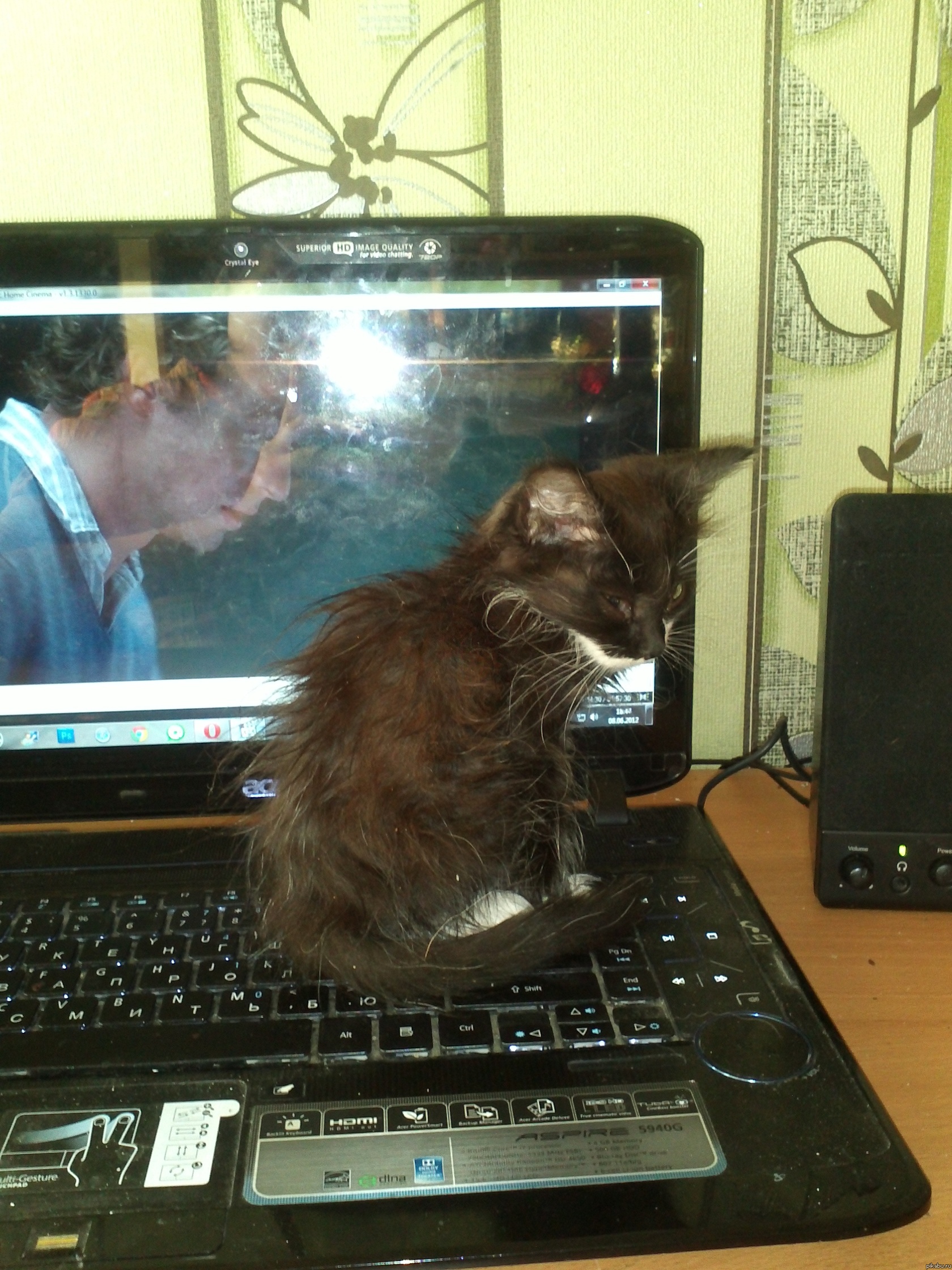 ��� ������ ����) ��������� �����)