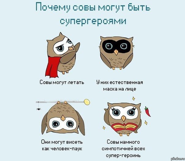 Совы-супергерои