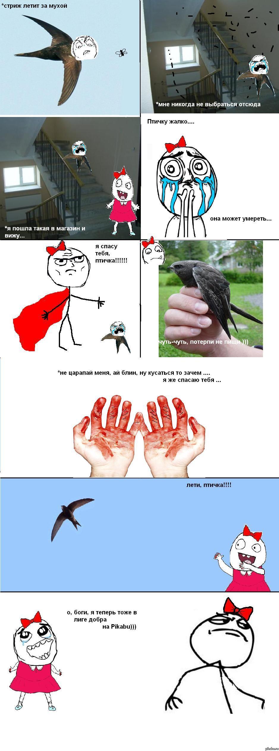 �������� ������ ����