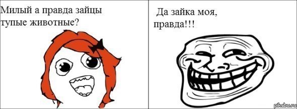 Зайцы они такие...