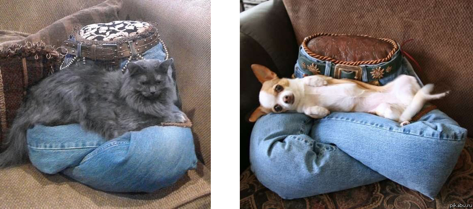 ������������ ������ ��� ��������