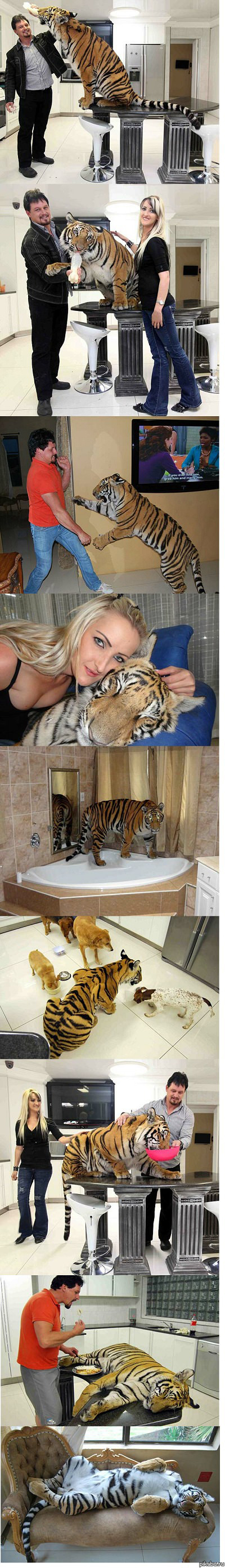 ������ ��� ����� ��� ���������