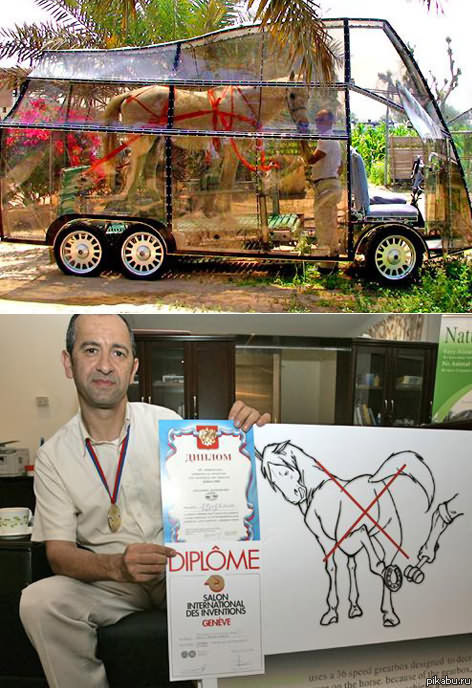 ���� ��������� ����