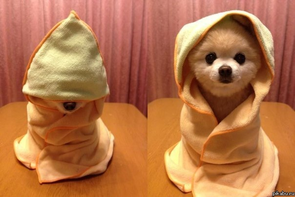 Assassin Creed