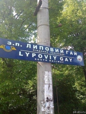 Липовый гей