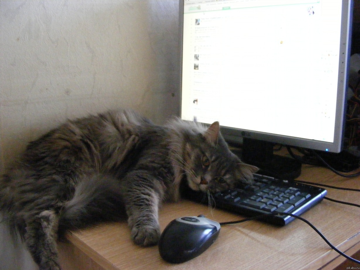 ��� ������������!