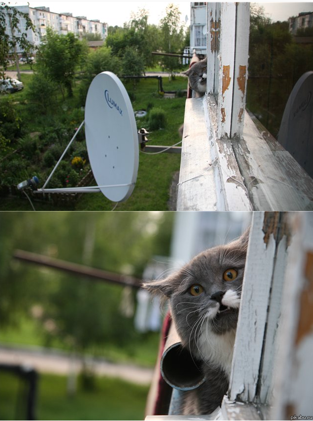 Вышли с парнем на балкон, а там...