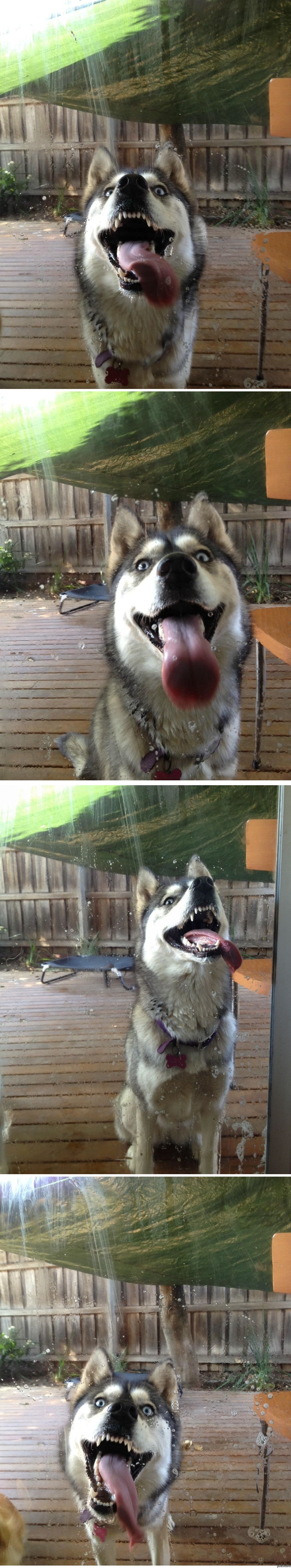 ���������� ����� ����. ����������? :)