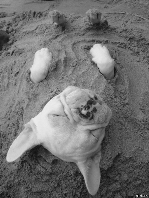 ���� ��� � �����))