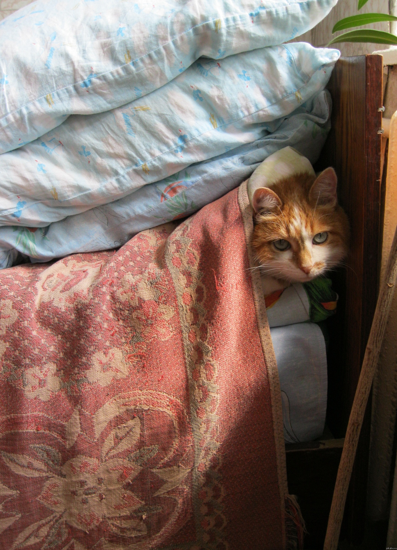 �� ������� ��� ����...