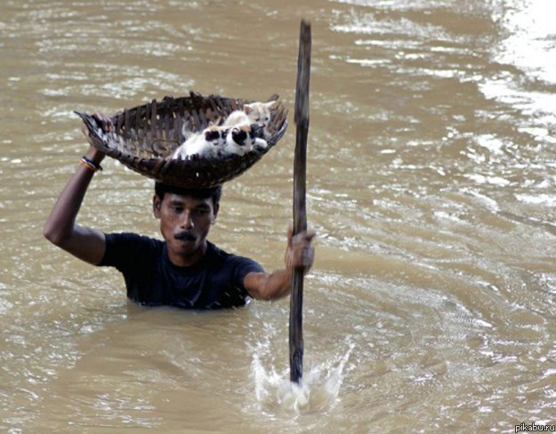 ����������.