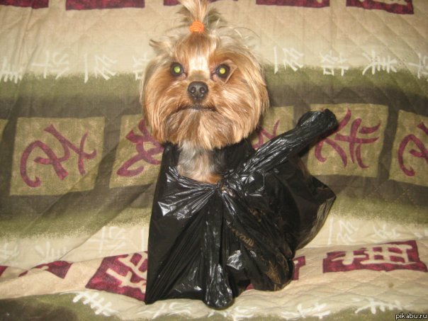 ��������� ������ ��� ������ )))