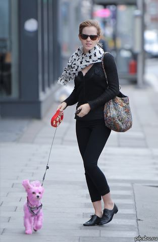 ���� � ��������� �������