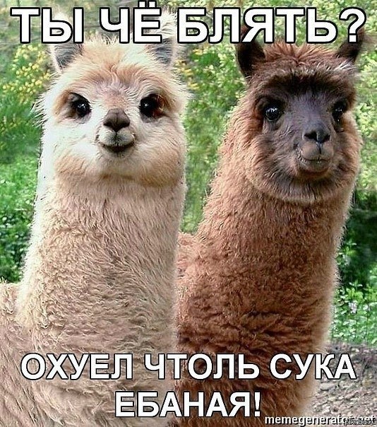 Как я выгляжу, когда злюсь: