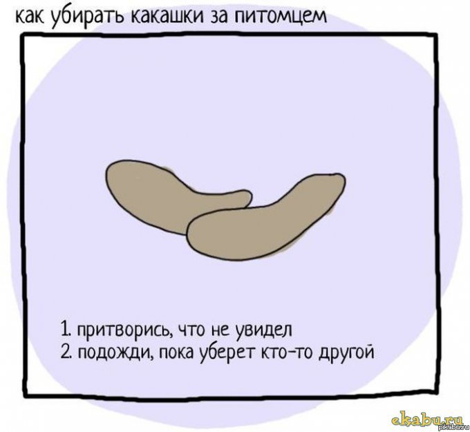��� ������� ������� �� ��������. �������