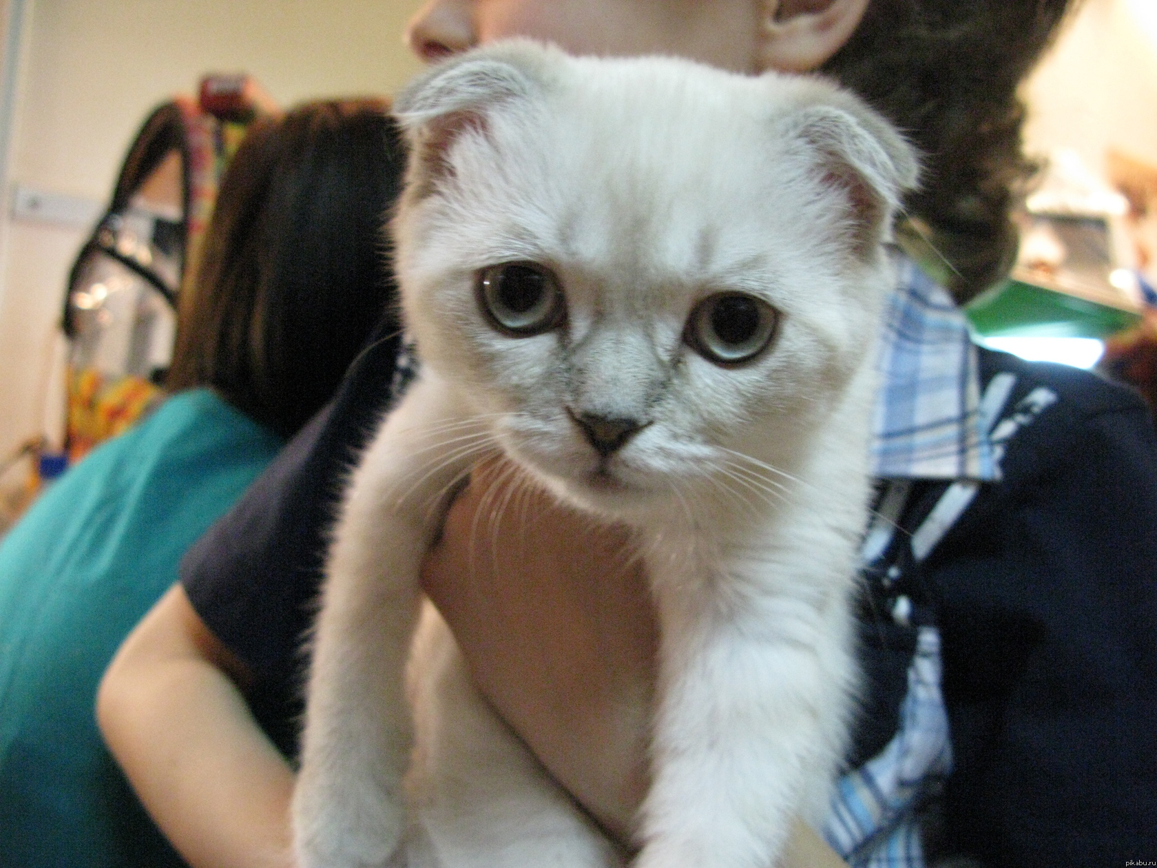 �������