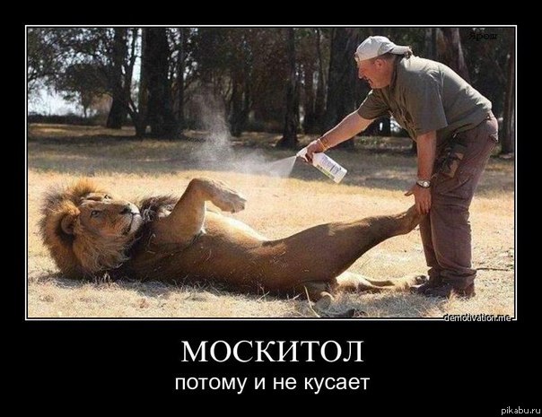 �������� - ������ � �� ������!