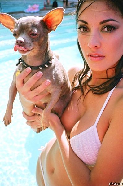 ���� �� ��������������