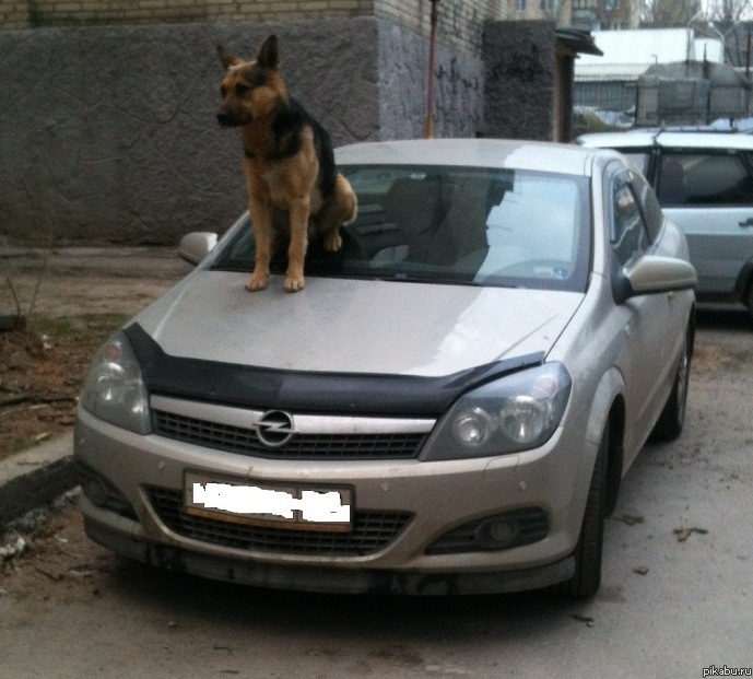 ��������)