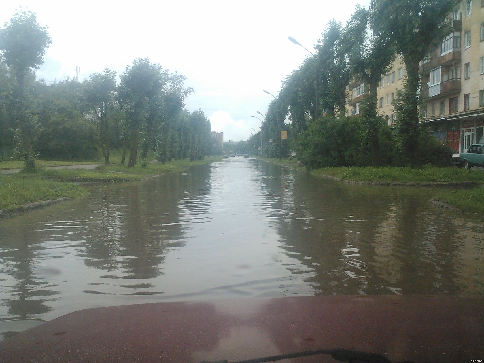 � ������ ����� ���.