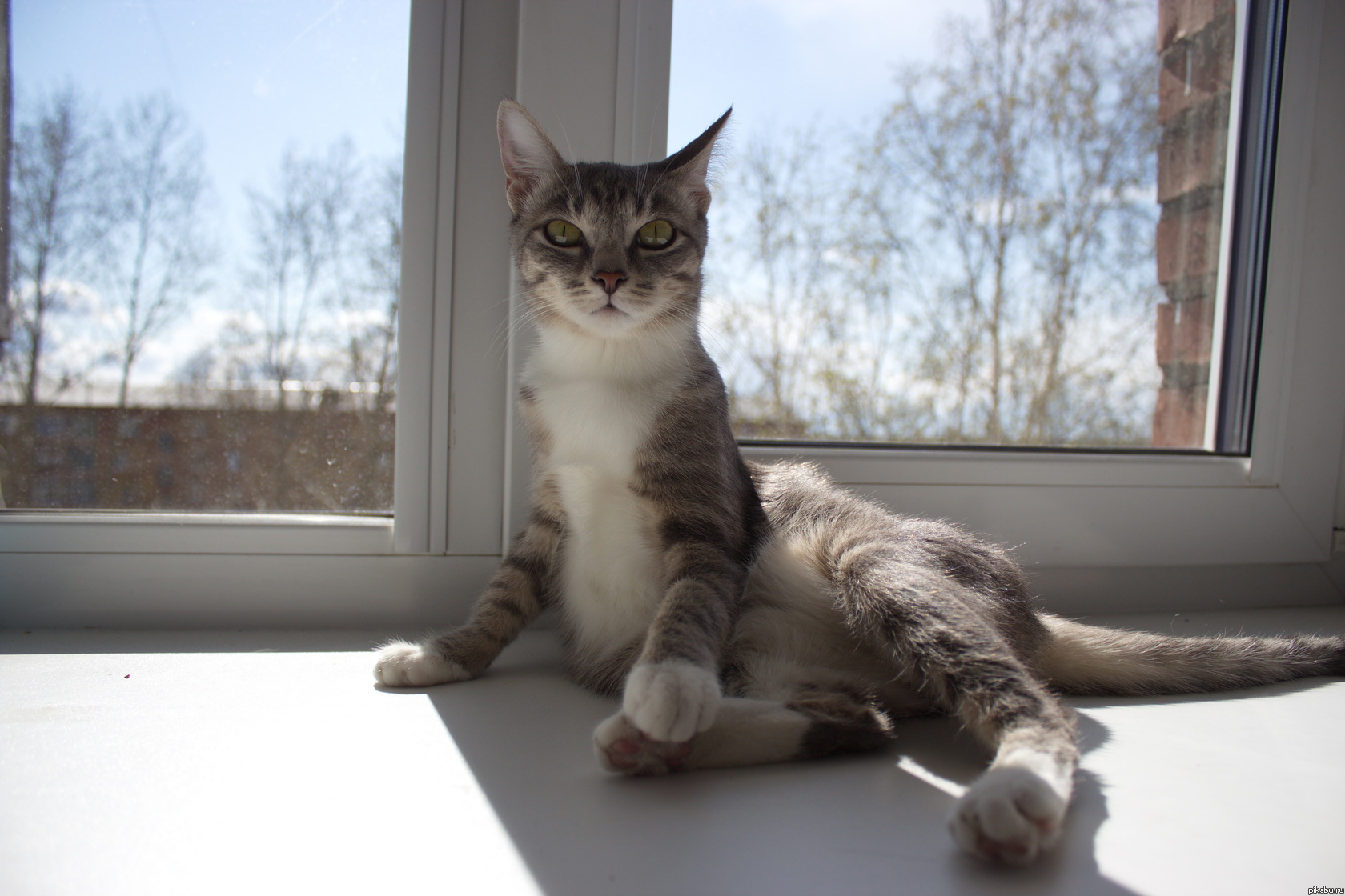 Полтора года вместе, не жалею ни о чем...