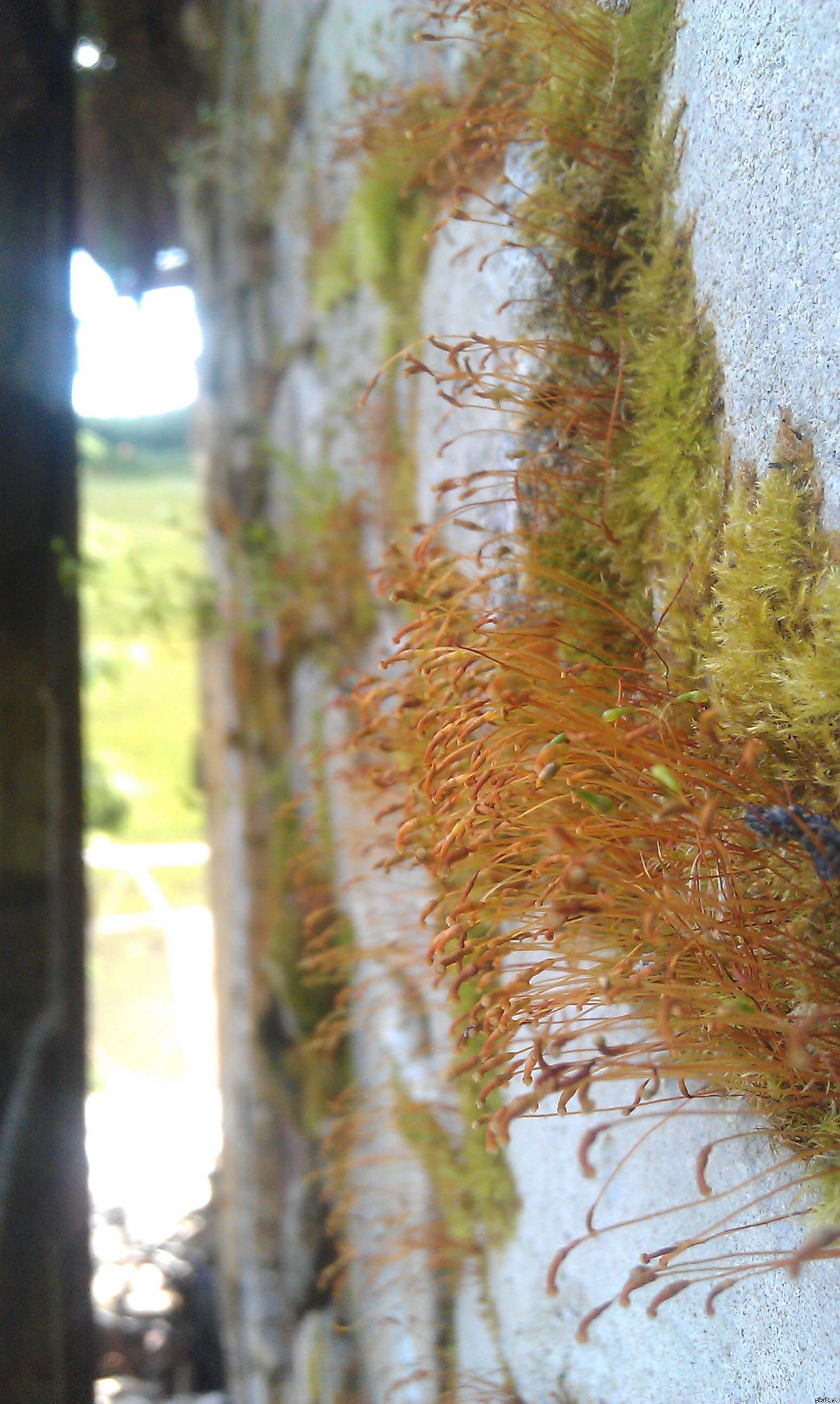 ��� �� �����