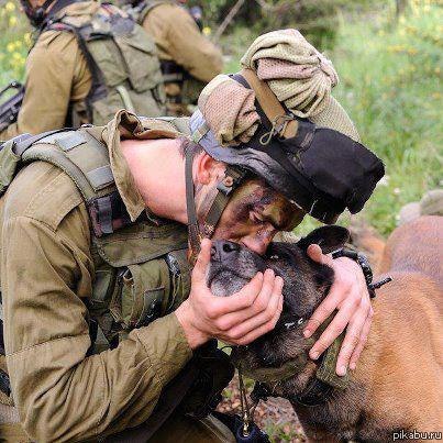 ��� �����...