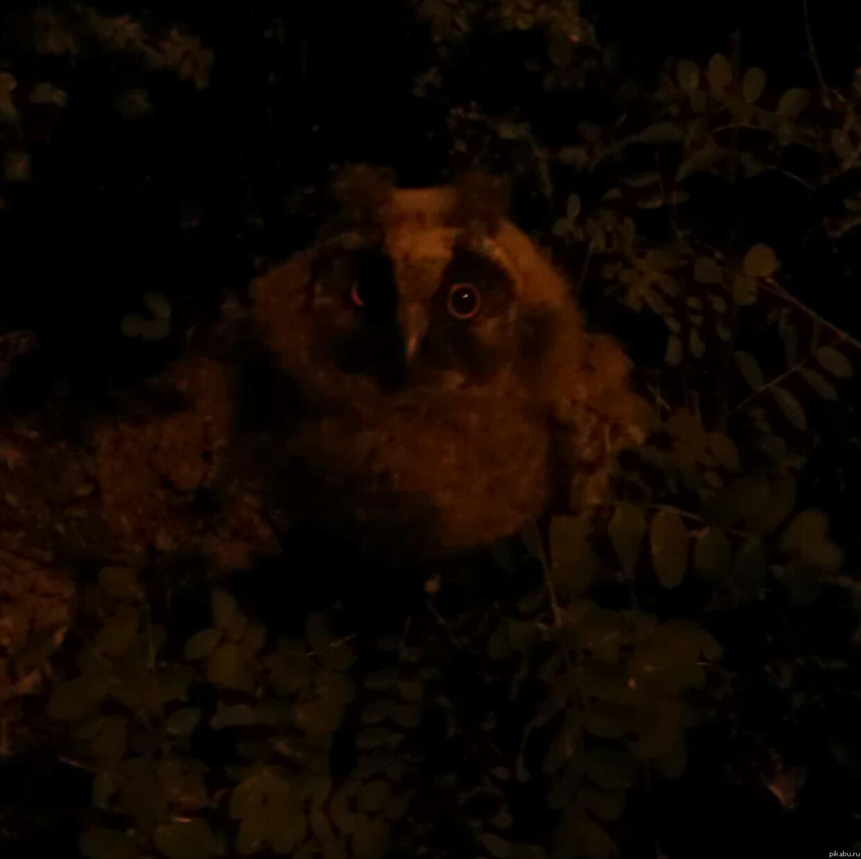 ������������� ������