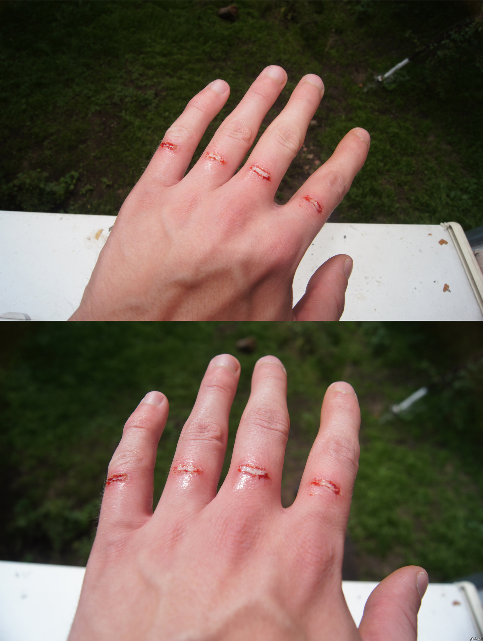 Сделал, бл*ть, курицу в духовке