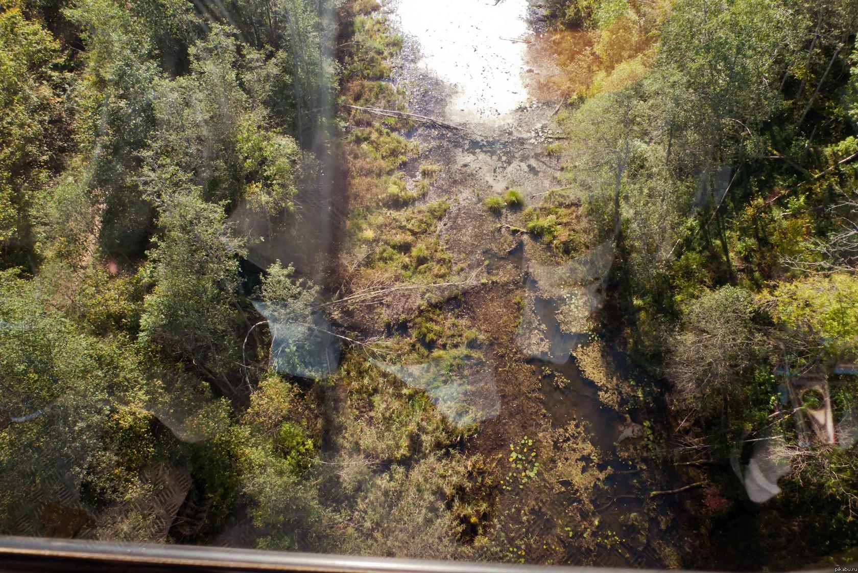 ��� �� ����?