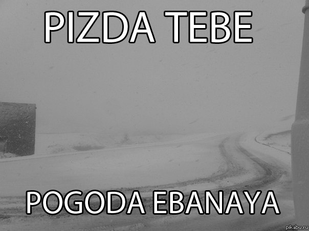        : http://pikabu.ru/story/_568730   