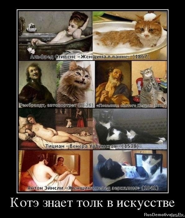 Коты знают толк в искусстве!
