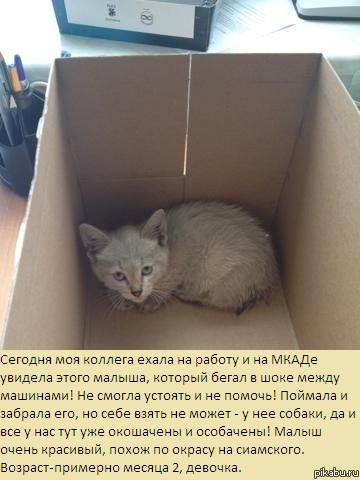 ������ ����� - ����������! �����, ��������, ��� ������ �� ����� ������ ��� �������!