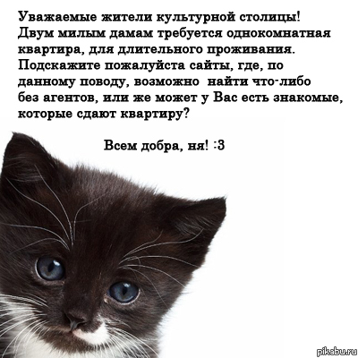 ����� ������ � ������!