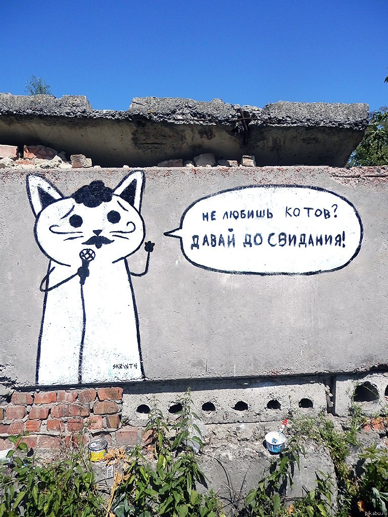 А ты любишь котов?