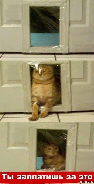 Ты заплатишь за это