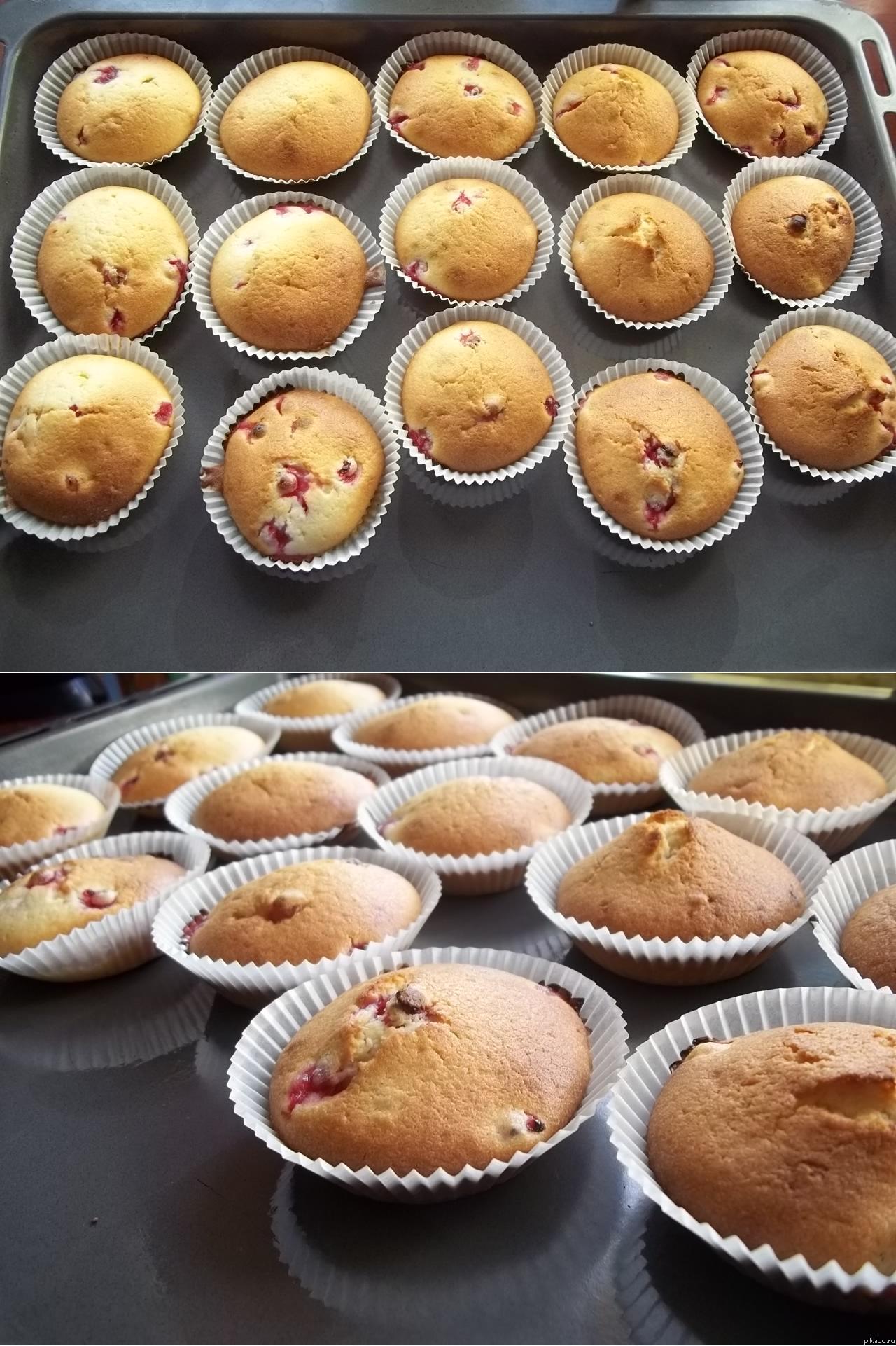 ���� �������!