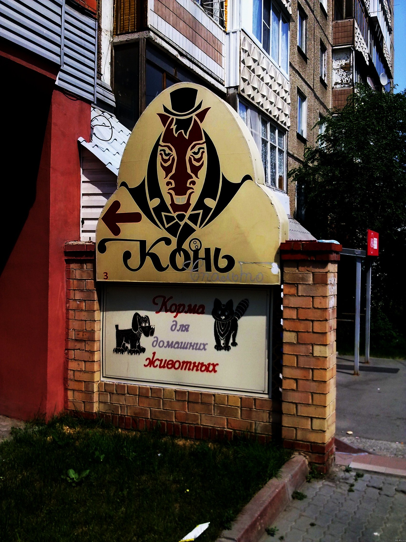 конь в пальто. | Пикабу