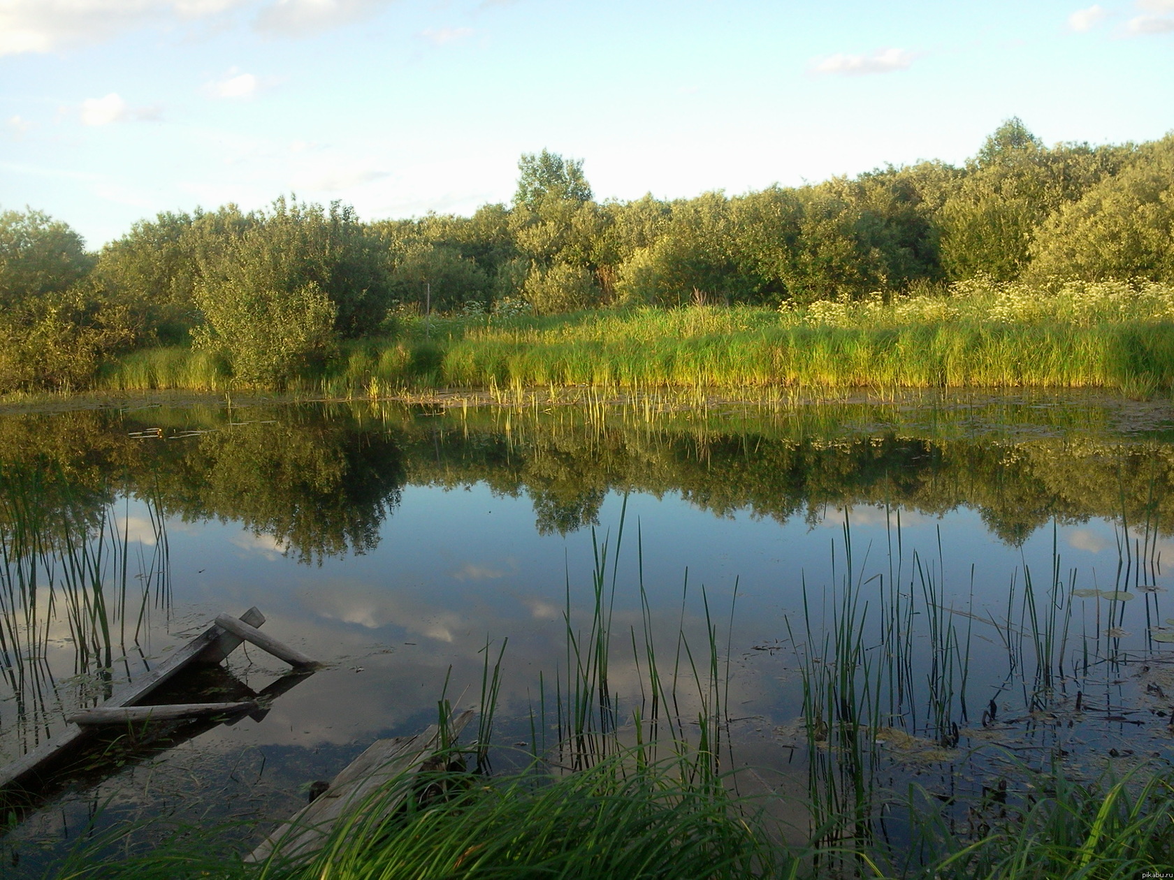 Пруд в деревне