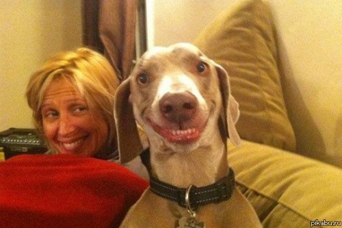 � ������� ��������)