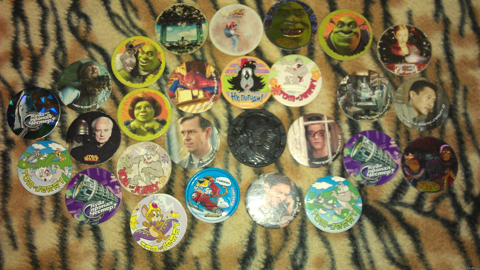 ����������...